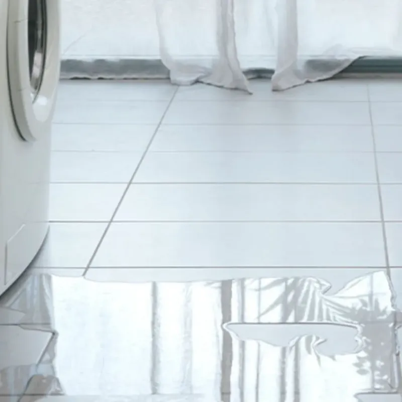 Appliance Leak Cleanup in Grayling, MI