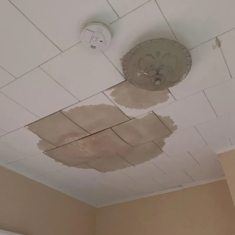 Ceiling Water Damage Repair in Grayling, MI