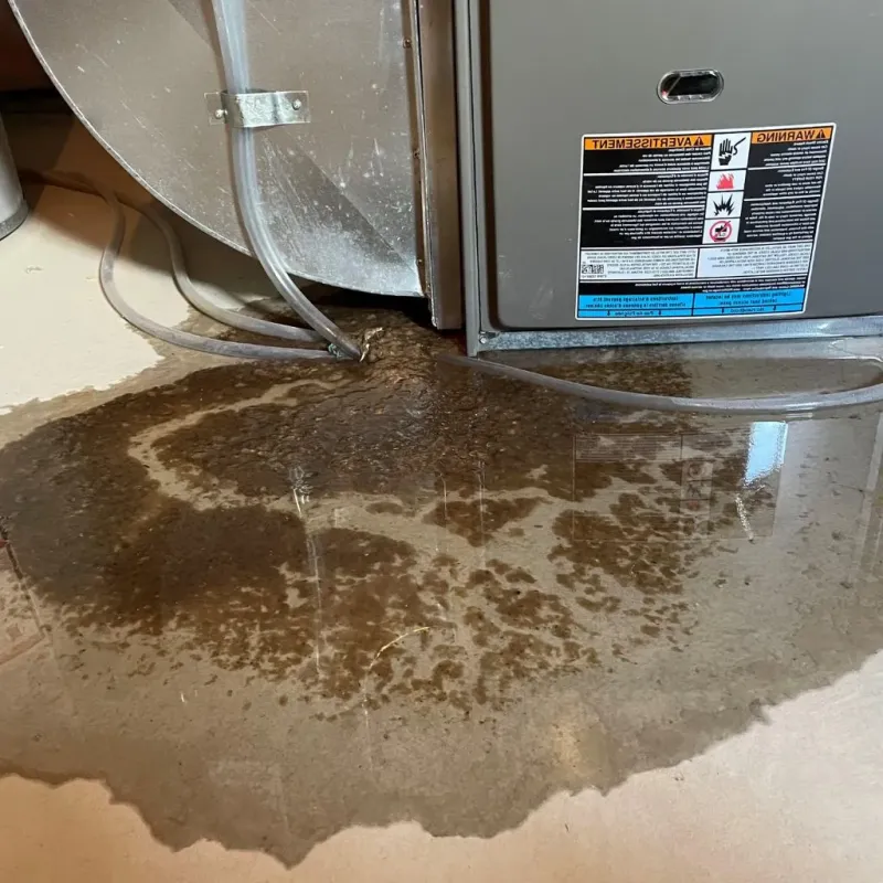 Pipe Burst and Leak Restoration in Grayling, MI